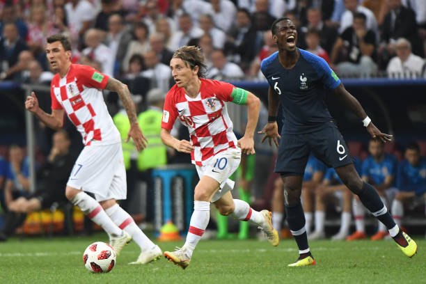 提供了强有 提供了强有