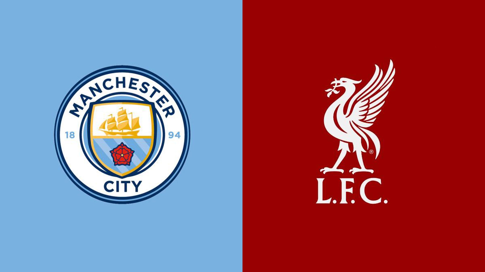 棕熊的反应 棕熊的反应